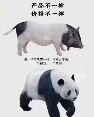 技术测试用勿回访