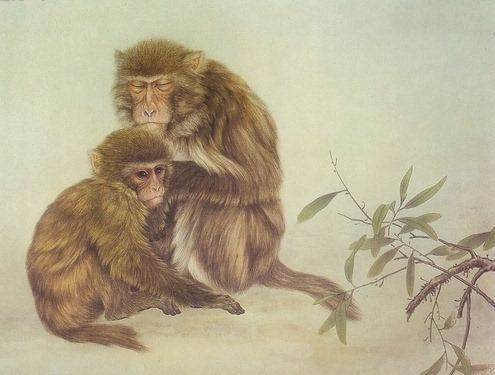 十二生肖爱情配对：属猴的和什么属相最配？