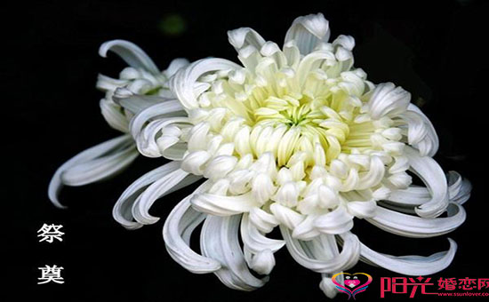 哀悼节哀慰问短信大全