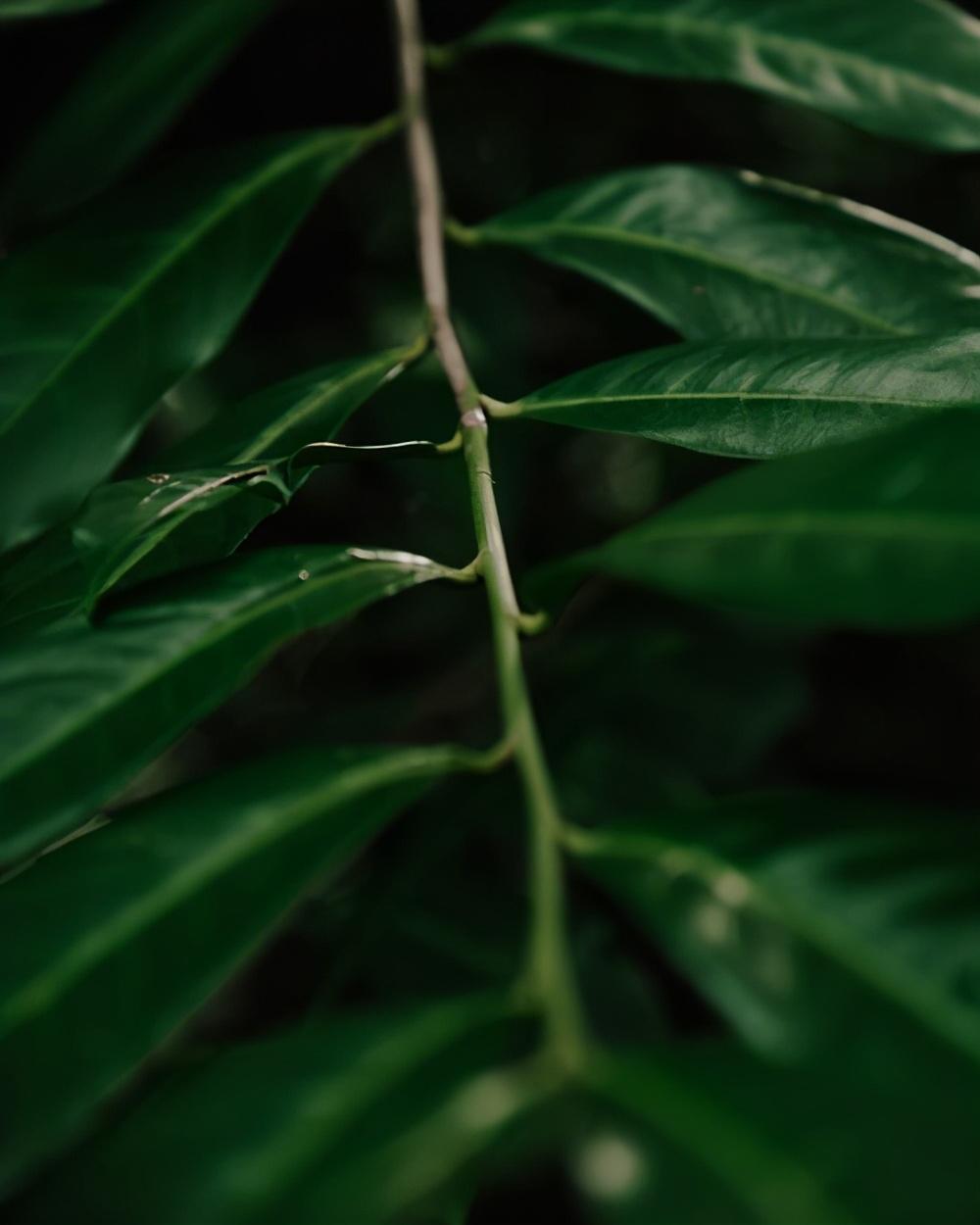 影响恋爱关系稳定性的因素（是这4个要素）